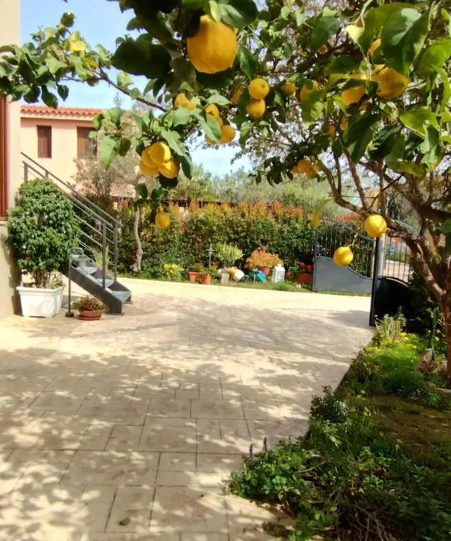 Tucano Single Room San Teodoro